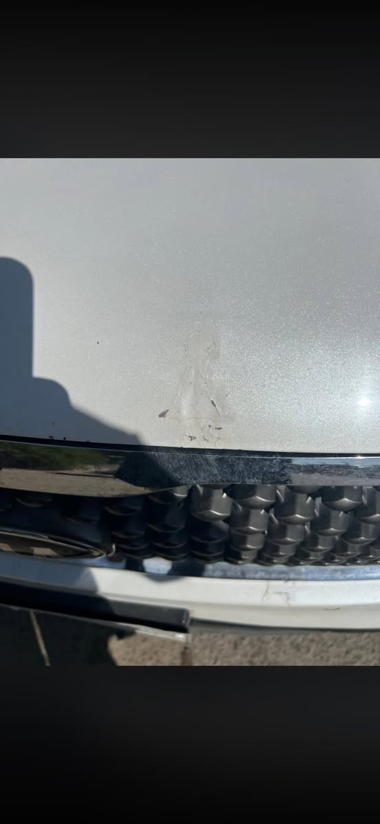 سورنتو 16 خليجي مواصفات كويتي فول للاخير تبريد 3 قطع بانوراما بصمات حساسات 360 كشنات تدفئة وتبريد كراسي جلد كهرباء 7 راكب منفصل محرك وكير مكفول السياره ماشيه 120 كيلو علا وضع الوكاله بيها بارد بالصور موضح بخشم البنيد والباقي مكفول من الشخط السياره بوضع الوكاله تايرات جدد صدر جديد باتري  جديد 
مري شفط لايت زنون زراك لايت ويل كب كروم عدد 5
كتلوكات الشركه كلها بيها
السياره دشبولها مفطر والبانوراما تشكل متنفتح 
محرك جديد كفاله صدر جديد تايرات اصلي جديد باتري بعده بالضمان تبريد تدفئه راديترات كلها منضومه جديده مي اصلي بيها ادامه كامله مابيها اي نقص
سعرها 220 بيها مجال قليل مكانها بغداد شرطة الخامسه
***********
