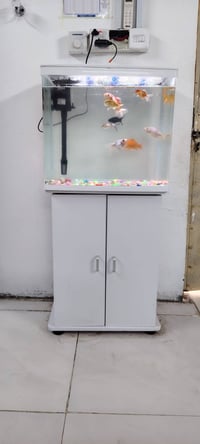 حوض أسماك • ٦٠×٤٠ • الحيانية