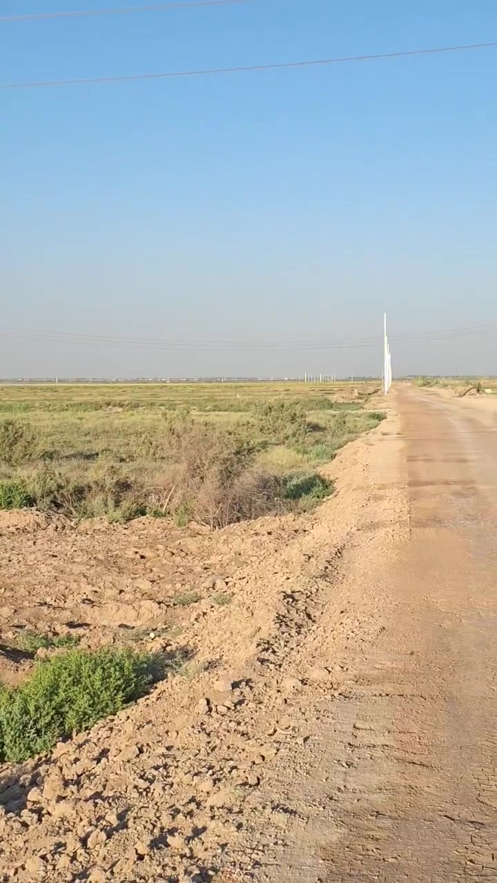 دوانم تصلح مزارع  للبيع  سند ٢٥  شرط تحويل  السياحي مال بهرز كنعان  قرب مزارع نخيل ديالى  الأسعار مناسبه  للإستفسار  الاتصال عله رقم ***********
