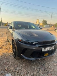 هورنت • ٢٠٢٤ • ضربة