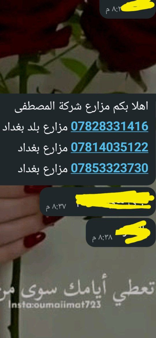 الفخامه يمنه وبس ...🧿🌹🌴🌹🌴🧿
ماعليك سوا الاتصال بنا ....🤳
أجمل ما في الحياه سفره سفوري مع من تحب ...🏊‍♂️🏊‍♀️
مزارعنا متواجده طول الايام ...⚘️🌴⚘️🌴


**إذا كنت صاحب هذا الإعلان وتريد حذفه لأي سبب، رجاءا أرسل رسالة إلى الدعم الفني**