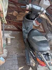 عصفورية • ٦٠ • كهربائيات