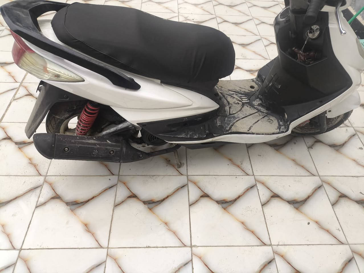 السلام عليكم سكنس فحل كابريتر  مكينة خرسة لاتنقيص لاتبخير لا نضوح نكرة بكل وقت بس بيها الكفر مكسور شوية  والكهرباءيات كلها شغلة وبيها نشرة تايرات جدد ويل عسلي ماشية 24 حقيقي وكفرها حيل نضيف محرك جديد حيل والجاملغ الخلفي شوية بي كسر موجودة القطعة مالتة باقي كلة شغال  السعر 950 وبيهة مجال مكاني بابل محاويل   رقمي ***********
