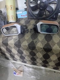 زوج مرايات • بيض • جلد