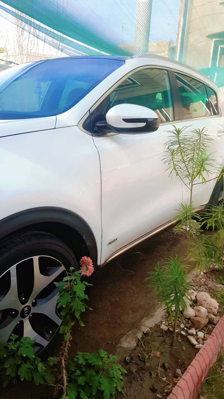 السلام عليكم
بسم الله 
كيا سبورتج خليجي جيتي لاين موديل 2016 شكل 20 الشركة الدولية ع ايد وحدة من الزيرو

ماشية 85  حقيقي
فول مواصفات ١/١ معروفة 
رقم بغداد دولي  تحويل ثاني يوم
كفالة عامة
بانوراما.
بصمة دخول وتشغيل.
سايد بريك بصمة.
مانع منحدرات.
شاشة كبيرة.
اريل نفكيشن.
شاحن واير ليس .
شفتات سرعة.
اوتو هولد.
جنطة كهرباء.
كشنات جلد بلادي و كهرباء.
.داخل لونين حمصي واسود.
حساسات 180 درجة امامي وخلفي.
خمسه ويل كب .
قطعتين تبريد بيانو.
كامرة خلفيه.
تحكم ستيرن جهتين ونوع حرف D.
وبعد بيها هواي مواصفات GT line معروفة
شاشه قرائه الاعطال
 .3 انضمة قيادة  
سيارة جاهزة من كل النواحي صدر تايرات باتري جديد
السعر 180$ بيه مجال بسيط جدا
العنوان بابل حلة 
***********
