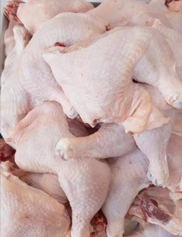 السلام عليكم يوجد دجاج خشن وناعم في محل ابو حسن العبادي سعر الدجاجه اكو 7500 وكو 8500 وكو 9500 الاحرار مقابيل كراج البلديه صدر دجاج الكيلو خمسه افخاذ دجاج افخاذ دجاج الكيلو خمسه اجنحه سعر الكيلو خمسه رقم الهاتف ***********
