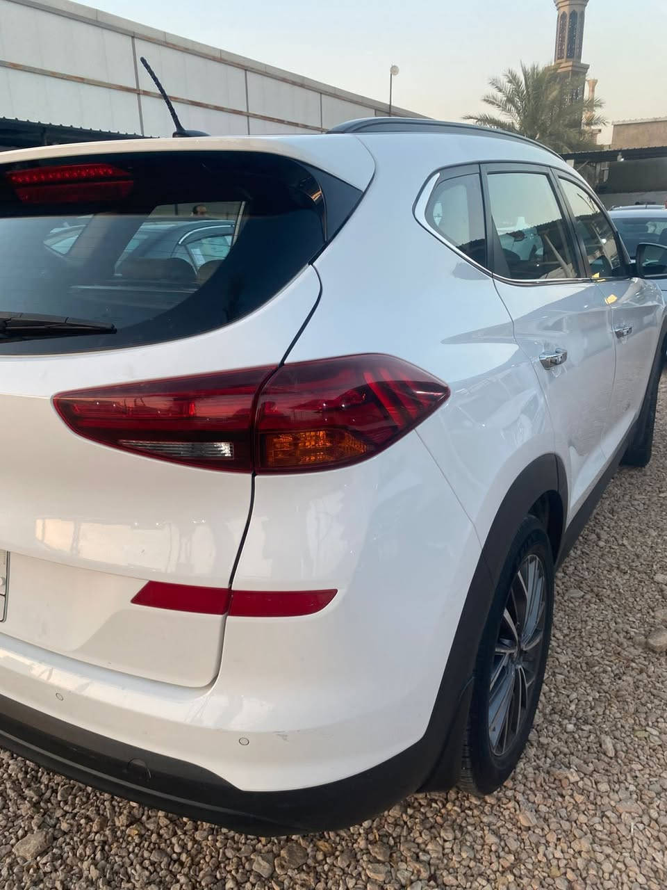 2019 مكفولة عدا بارد اصبعين بباب السايق

0781 752 3222
ابو محمد
