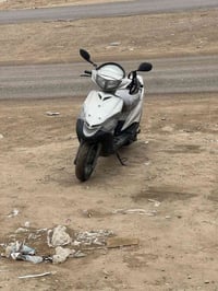 ماكس ثعلب • ١٢٥ • منفيس اصولي