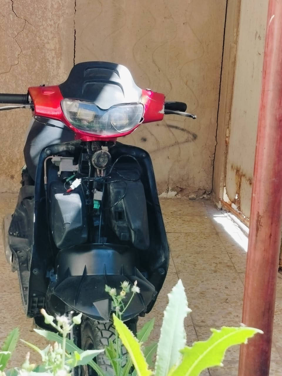 دراجه فراشه ماعايزه اي شي بس كفر كامله من كلشي مامفتوحه
سعر 500 وبيه مجال بصيط


**إذا كنت صاحب هذا الإعلان وتريد حذفه لأي سبب، رجاءا أرسل رسالة إلى الدعم الفني**