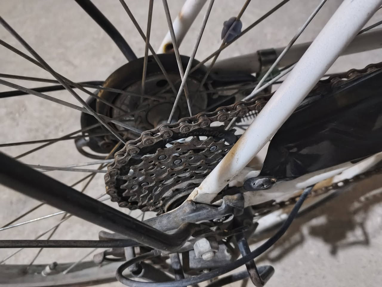 بايسكل لل بيع
حجم26
عكرب6
ما ناقصه اي شي
بريك خلفي وا امامي
السعر80وبي مجال
المكان كربلاء_حولي مستشفى الكفيل_عامود1356
خاص مفتوح


**إذا كنت صاحب هذا الإعلان وتريد حذفه لأي سبب، رجاءا أرسل رسالة إلى الدعم الفني**