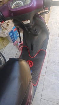 منغولي • نضيفه • ناصرية