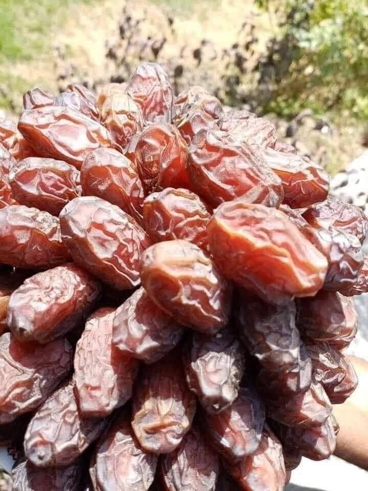 السلام عليكم ورحمه الله وبركاته يوجد فسئل بريم اللبيع العنوان التاجي ***********
