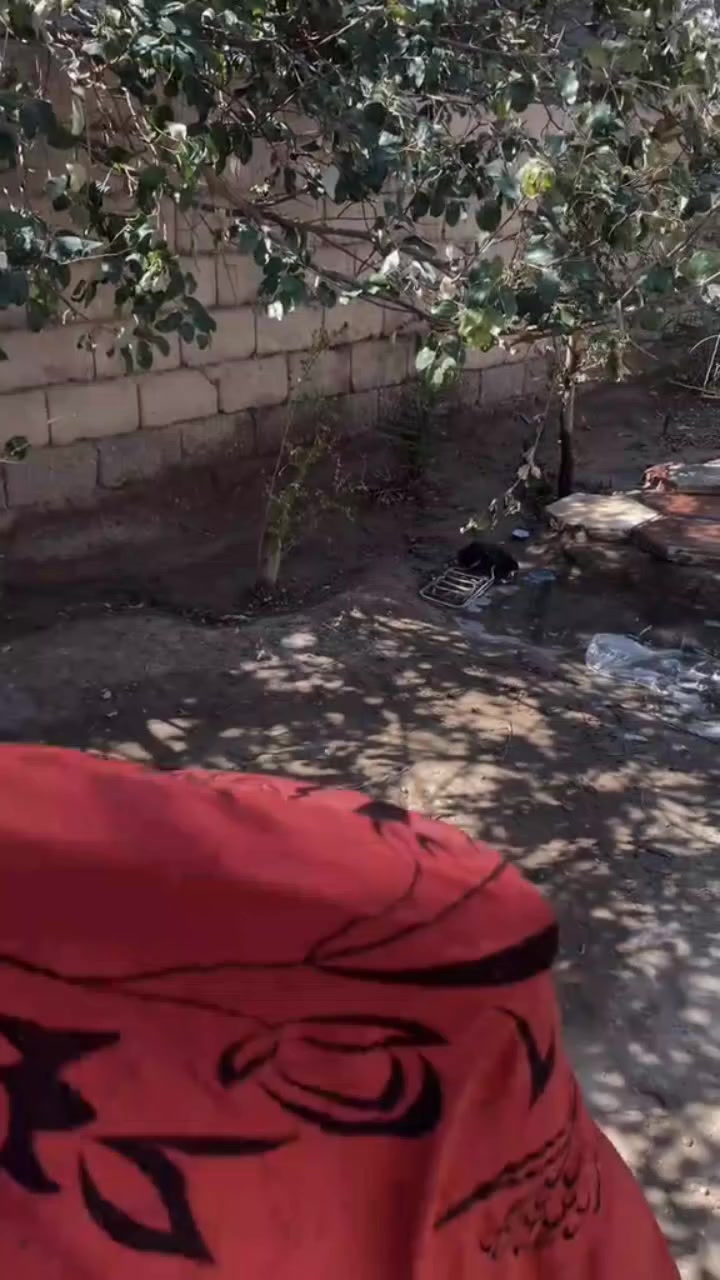 دراجه رابيدو للبيع السعر 550وبيه مجال المكان هارثه معمل الورق


**إذا كنت صاحب هذا الإعلان وتريد حذفه لأي سبب، رجاءا أرسل رسالة إلى الدعم الفني**