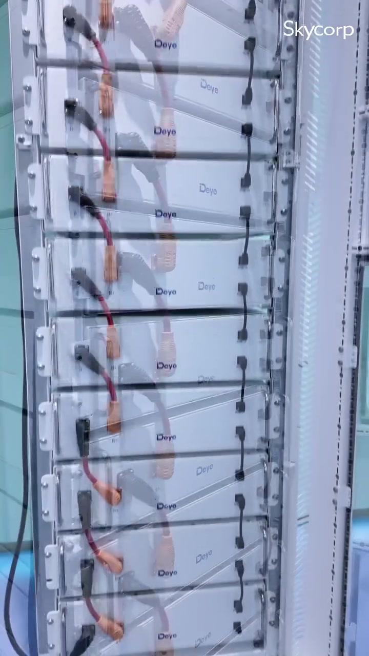 Deye BOS-G Pro High Voltage Battery System Full Rack
Power up your energy storage with the massive Deye BOS-G Pro full rack! High voltage, high efficiency. 🔋⚡
#Deye #DeyeESS #HighVoltageBattery #BOSGPro #EnergyStorage #SolarPower #RenewableEnergy #CleanEnergy #BatteryRack #GreenTech #SolarBattery #PowerBackup #OffGrid #EcoFriendly #SustainableEnergy


**إذا كنت صاحب هذا الإعلان وتريد حذفه لأي سبب، رجاءا أرسل رسالة إلى الدعم الفني**