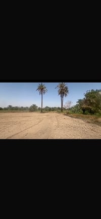 طريق الزوار • ٦٥٠م • جاهزة للبناء
