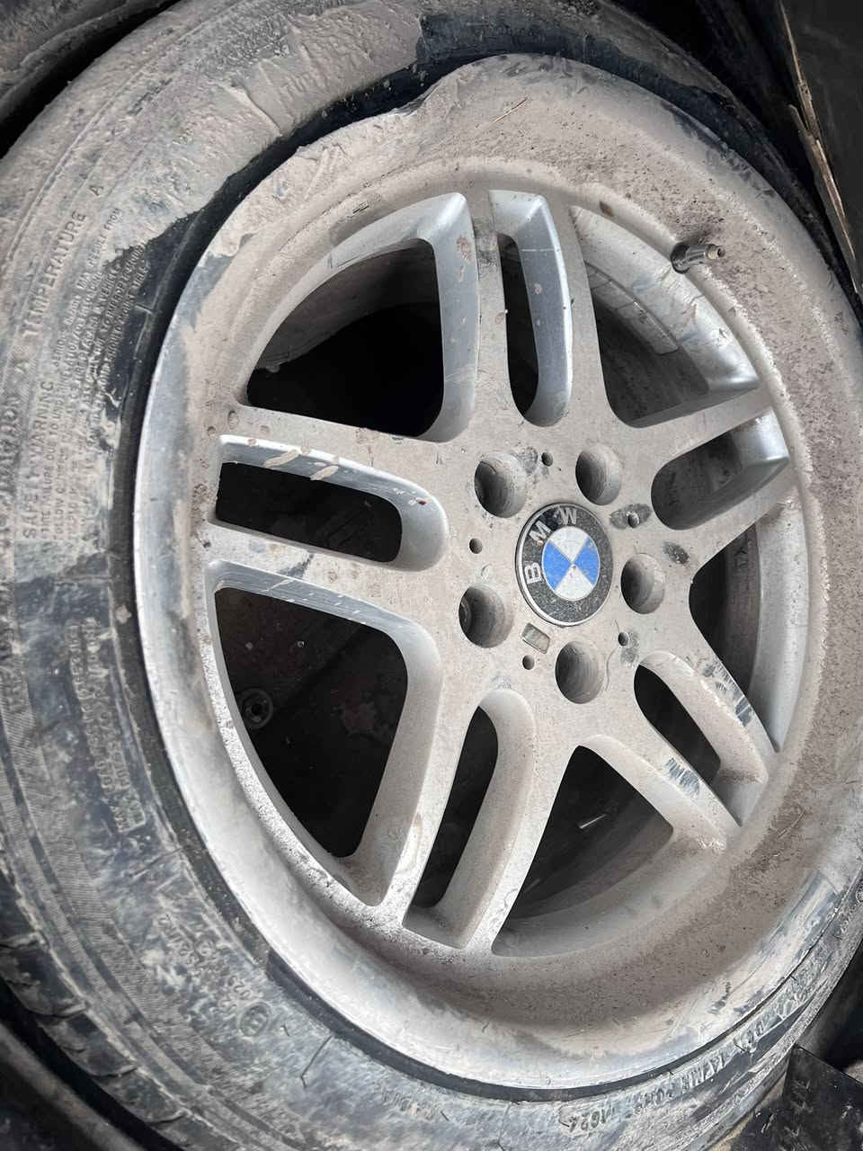 ٤ وياله M ثنين. مبين طعجهن بل تصوير ضربت نگره ونطعجن ويصلحن ثنين مابيهن شي ابدل  ويه خليه مكاني الگوير مخمور ***********
