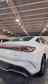 سيل 06 • هجينة • ٢٠٢٥