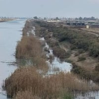 ٥ دونم • دجلة مباشر • التاجي ذراع