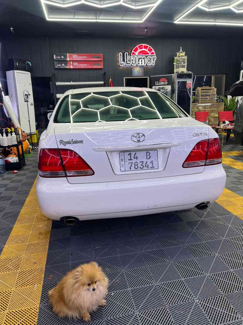 سلام عليكم للبيع شاهينه مزاد دولة تحويل ثاني يوم سياره دكمتين شاصي 82 سياره مكفوله  مشط ايسر بلاد داخل رصاصي سياره كامله من كل النواحي المكان البصره الجنينه السعر 143$ اوبيهامجال الشراي يتصل ***********
