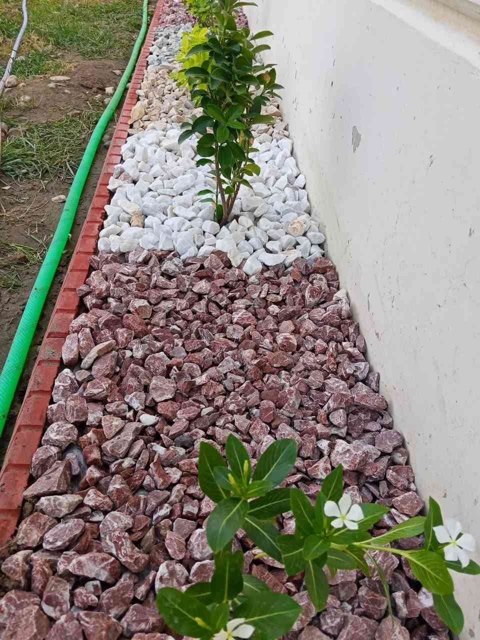 حدقجي وفلاح المزارع وللمنازل
حدقجي عمل كافه ديكورات الحدائق ، لـترتيب🐦 الحدائق المنزلية والمزارع
وزراعة النباتات، 🌾🌴🌱والازهار،
أعمالنا مستمرة دائماً ونسعى لإرضائكم ❤❤🌲🌲 
عالم الحدائق تصميم وترتيب الحدائق  .
 تقليم. وترتيب الاشجار. 
 وتزويد الثيل بالأسمده المفيدة 
وعلاج لأشجار مريضه.
ومرشات الحدائق 🚿
الاتصال او الاستفسار ☎️✓[***********]✓
رقم الثاني ☎️ (***********)
