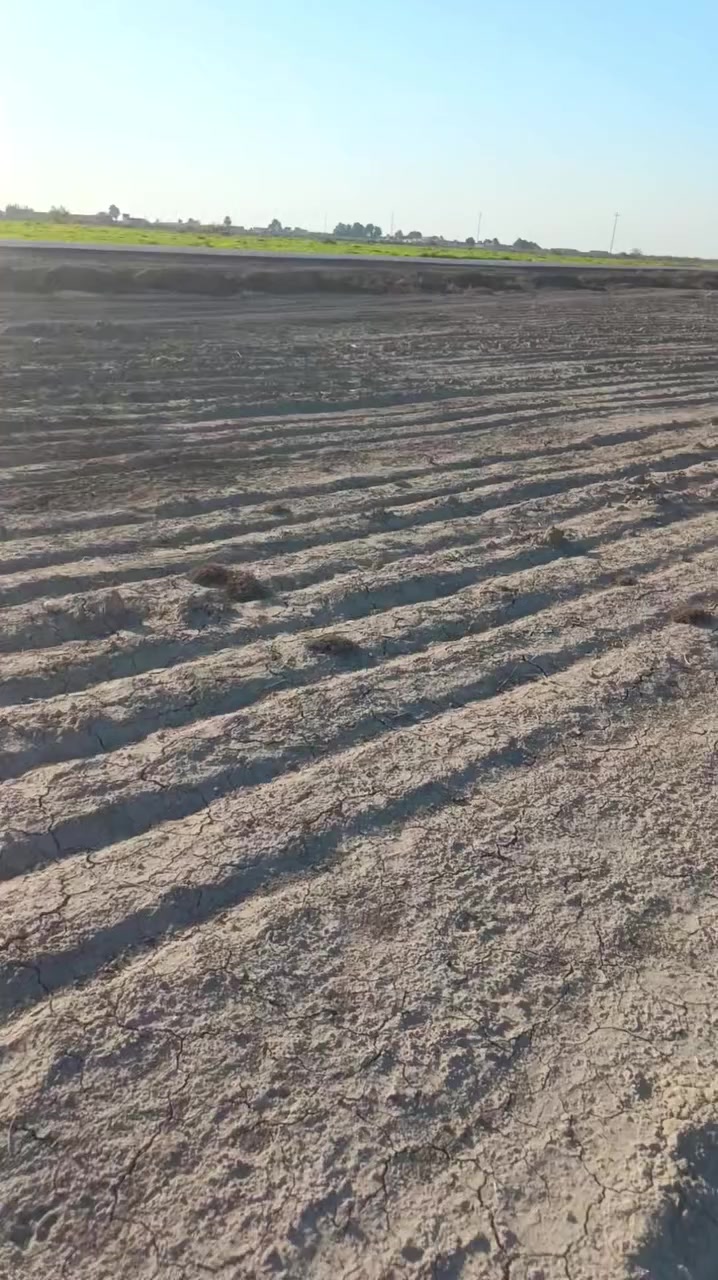 يالله ارض زراعيه للبيع  38دونم تبليط +كهرباء+ماي عطريق ناظم رقم 4 تبعد عن الرفاعي 7كيلو كاع كله زراعيه وجاهز بس مهموله مامزروعه 
***********
***********.  الشراي يجي يشوفه وبي خير ويدلل
