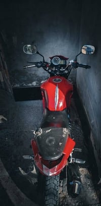 بطح • تجفيت جديد • بدون اوراق