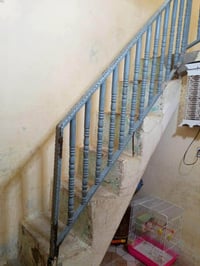 ٥٠م • نضيف • حي ميلاد