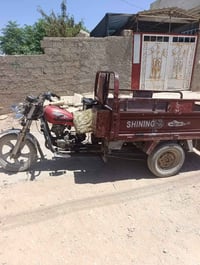 ستوته • موديل ١٦ • اوراق