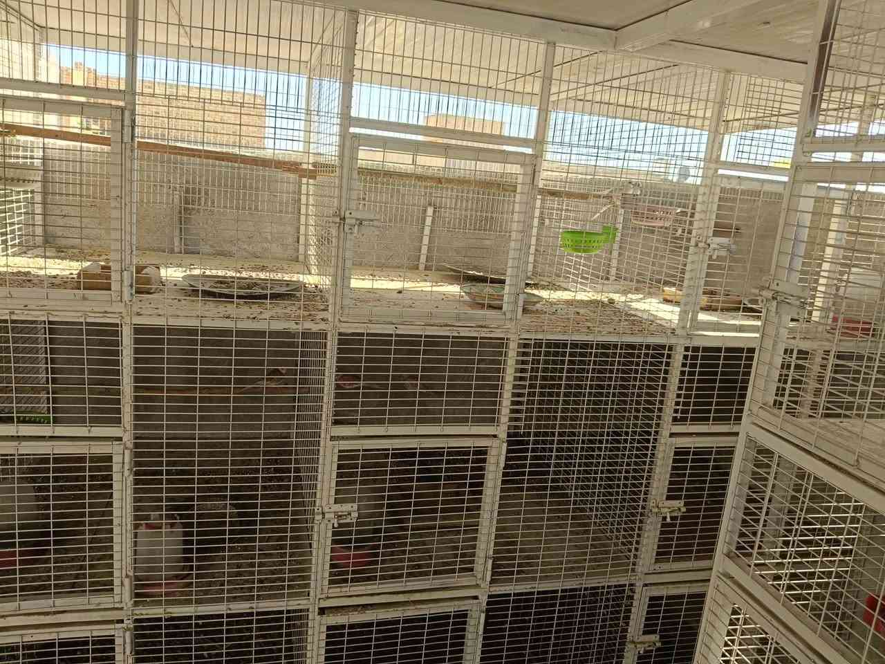 السلام عليكم
محمية حديد شغل درجة اولى لحيم تتكون من 30 خانه الواجهيه الخانه 70 ارتفاع 90 نزال 120 
المكان حله


**إذا كنت صاحب هذا الإعلان وتريد حذفه لأي سبب، رجاءا أرسل رسالة إلى الدعم الفني**