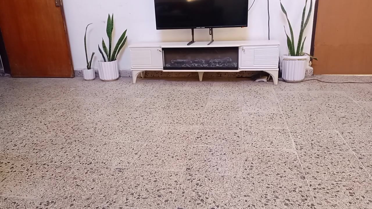 مساء الخير 🌹 سيارات سبايدرمان مارڤل عدد ٢ كلش سريعات و نشطات مثل ما واضح بالفديو المرفق 🔥 سعر القطعة ١٢٠٠٠ من عدا التوصيل و عرض خاص الياخذ القطعتين احسبهن ٢٥٠٠٠ و التوصيل مجاني 🤩


**إذا كنت صاحب هذا الإعلان وتريد حذفه لأي سبب، رجاءا أرسل رسالة إلى الدعم الفني**