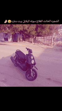 سلام عليكم سكنس جبلي للبيع الدراجه خير من الله مكينه مكفوله كلجات رياضيه الدراجه بعد انضف من الصور "مكاني بغداد الحسينيه السعر خاص ***********
