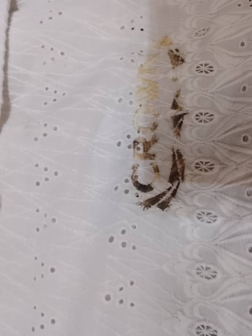 السلام عليكم ورحمه الله وبركاته
تور كشن راس ثور اصلي تفصيخ حاويه 
وارد اليابان شرط الفحص اصلي كامل اي 
نقص مابي تخم زيرووووو لا نقص ولا ملعوب
بي تجاويه كاملات لا مزك ولا خلع تخم حلو 

***********
***********وتساب

موجود توصيل الجميع المحافظة العراق
