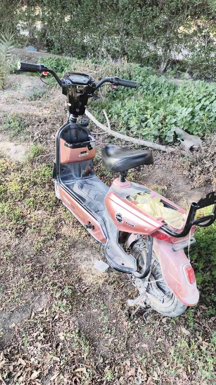 باسكل شحن حجم ١٤ للبيع السعر ٢٥٠ وبي مجال نقص واير بريك وبطاريات تعبانه مكاني حله شارع الطاقه


**إذا كنت صاحب هذا الإعلان وتريد حذفه لأي سبب، رجاءا أرسل رسالة إلى الدعم الفني**