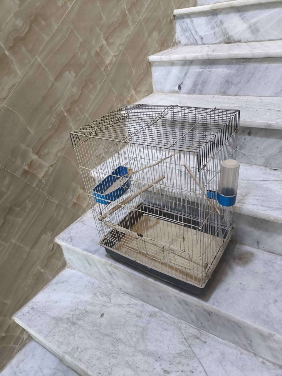 قفص طيور نظيف حجم كبير 
ويا غراضة مال المي والاكل 

الموقع 📍 كربلاء مركز المحافظة 
السعر 💸 15الف كربلاء, العراق


**إذا كنت صاحب هذا الإعلان وتريد حذفه لأي سبب، رجاءا أرسل رسالة إلى الدعم الفني**