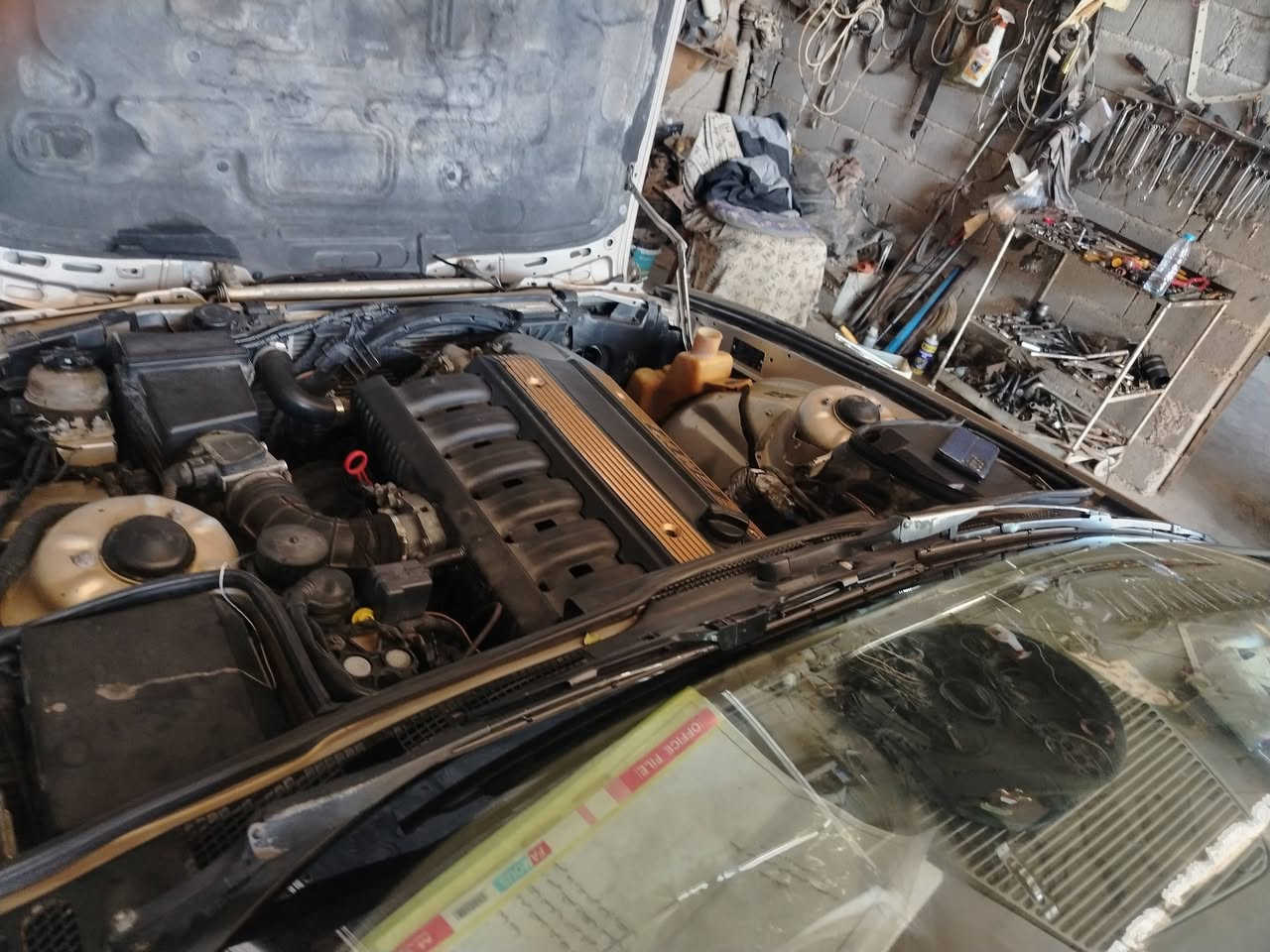 من رخصت اخونا صاحب كروب بي ام ٥٢٥ محرك جيد كير شاده جديد حاويه قبل شهر تايرات جدد رقم انبار رعيها قريب عليا تحويل مباشر سعر سياره ٣٨ تفاصيل مقطع فديو شوف وخابر تدلل الله شاهد اريد ابيع لن عدي شغله اداوم بيها وين يعجبك طلع ***********
