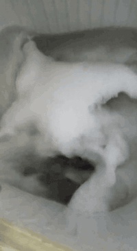 من رخصت مدير الكروب عندي غساله توشيبه الحجم الكبير مستعمله شغاله غسل تجفيف ماطورات جديده للبيع الرقم ***********
