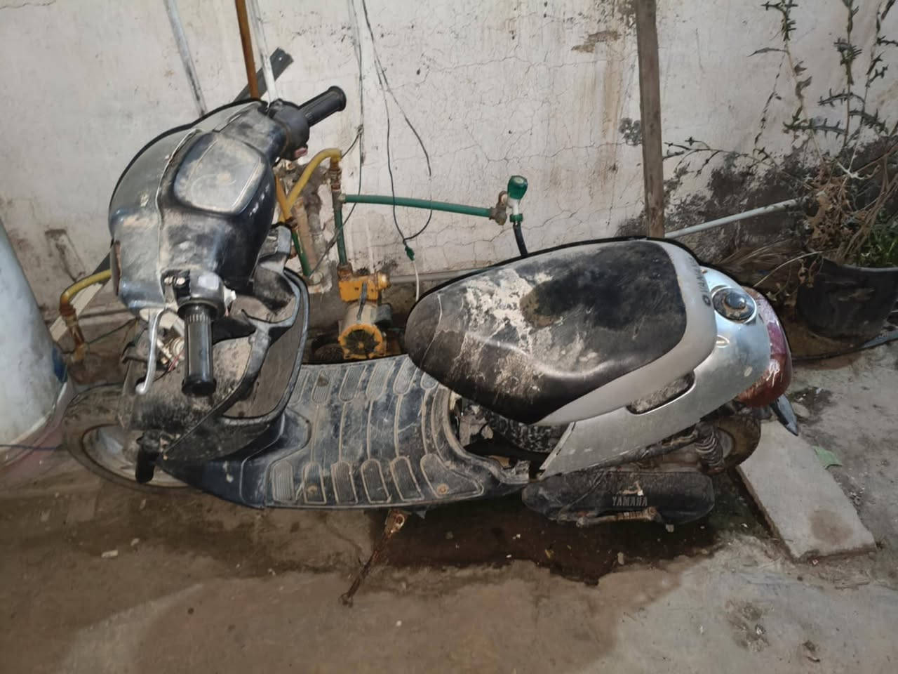 سلام عليكم دراجه بطه للبيع نقص فيت بم وتشتغل وغراضها كامله سعرها 100 مع المجال تواصل خاص مكان كربلاء


**إذا كنت صاحب هذا الإعلان وتريد حذفه لأي سبب، رجاءا أرسل رسالة إلى الدعم الفني**