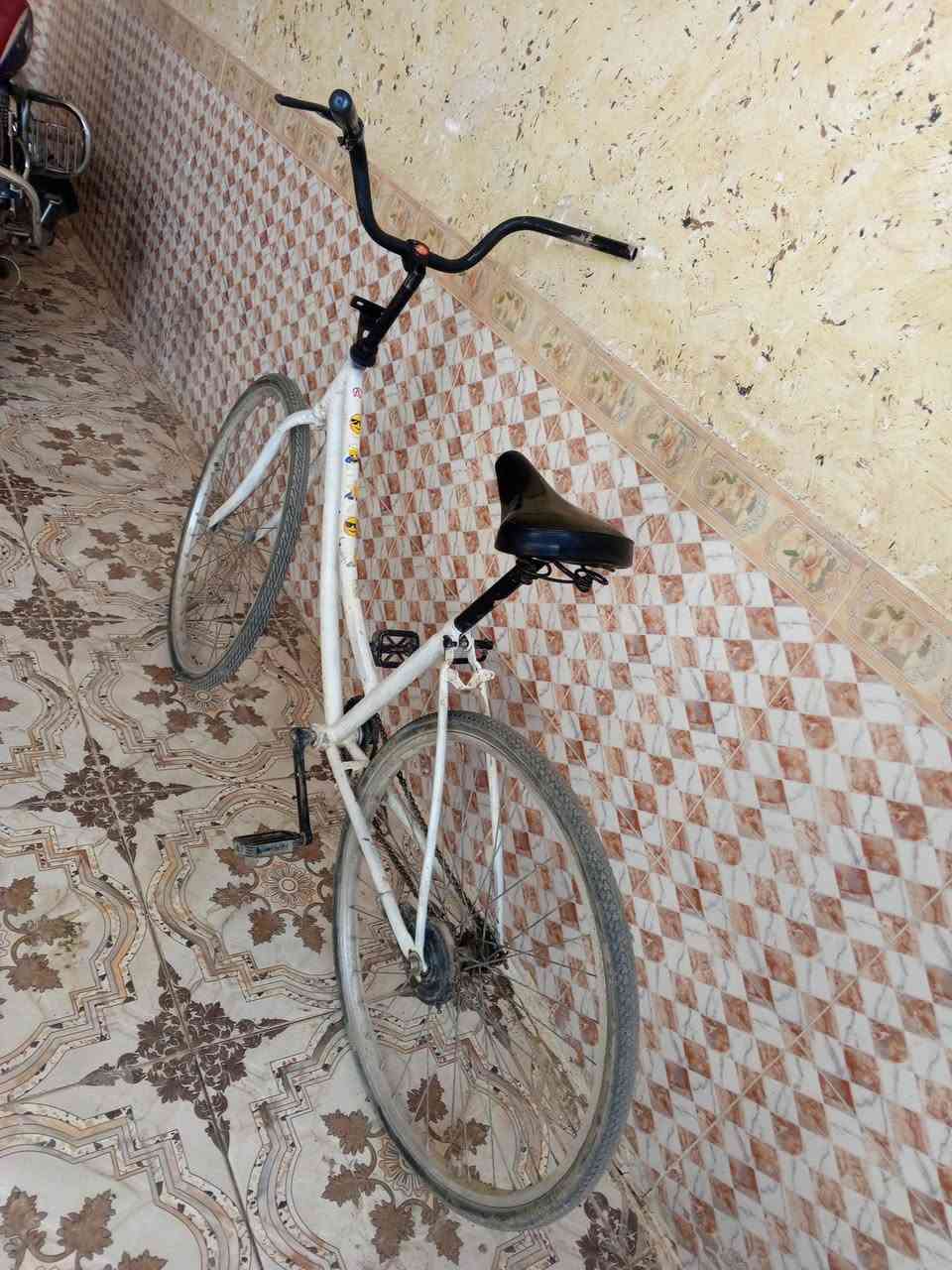 باسكل. لبيع سعر 40 حجم 26مكان حاوي العباس


**إذا كنت صاحب هذا الإعلان وتريد حذفه لأي سبب، رجاءا أرسل رسالة إلى الدعم الفني**