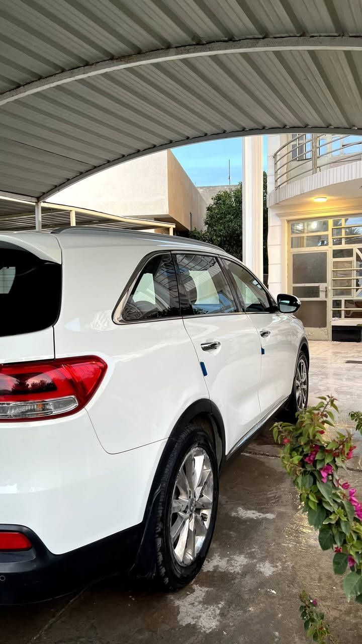 السلام عليكم سورنتو 2016 خليجي
٦ سلندر ٧ راكب  ٣ أنظمة قيادة مري شفط كشن كهرباء الجام اوتو (نص مواصفات)  رقم بغداد  بيها نص جاملغ الامامي الايسر مصبوغ وباردين ومصلح كازكيت 
للاستفسار  ***********
