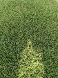 ثيل هندي درجة اولى لل استفسار الاتصال على الارقام الاتية  07857359916 ...