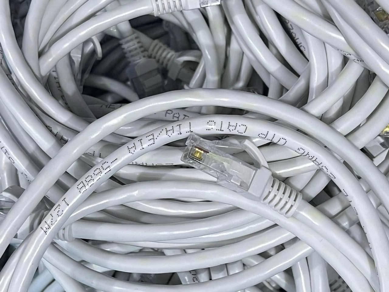 كيبل انترنيت طول متر ونص
ورصاصي طول متر

يعبر واحد كيكا

السعر ٥٠٠ دينار للقطعة

توصيل لكل محافظات العراق ٣  الف


**إذا كنت صاحب هذا الإعلان وتريد حذفه لأي سبب، رجاءا أرسل رسالة إلى الدعم الفني**