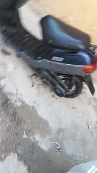 بطة • ياباني • هندر سلف