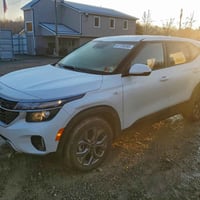 سلتوس • ٢٠٢٦ • النجف