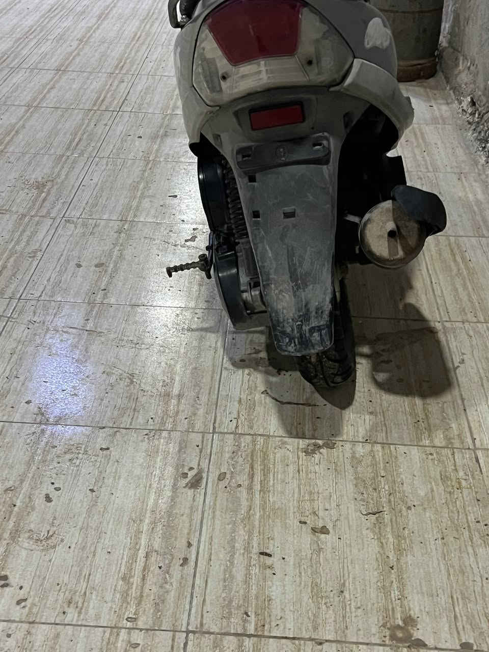 Cm Cm Cm bc
ماكسً منغولي لبيع سعر 450 وبيه مجال غراضه كامله


**إذا كنت صاحب هذا الإعلان وتريد حذفه لأي سبب، رجاءا أرسل رسالة إلى الدعم الفني**