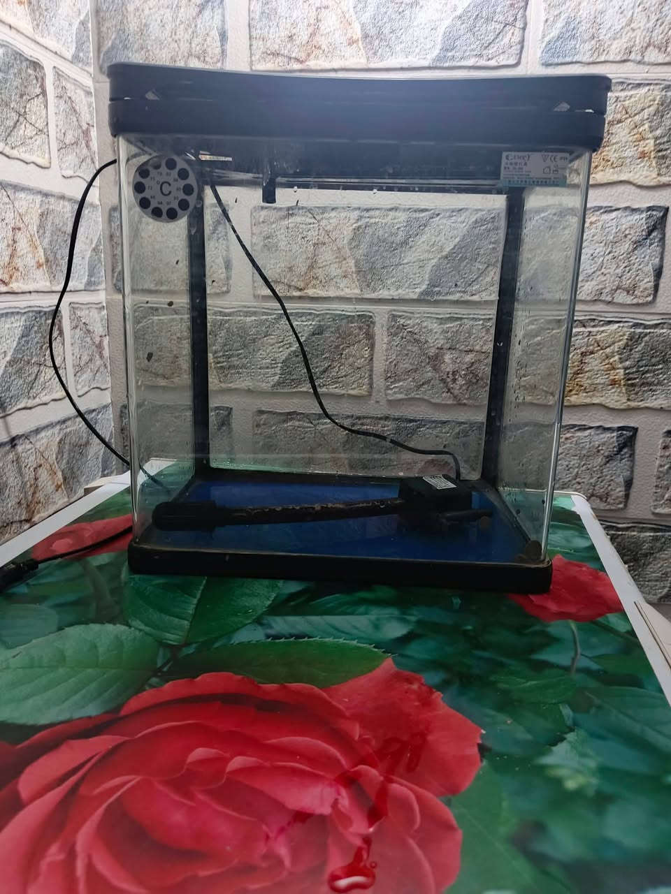 حوض سمج الطول والعرض ٣٠ استعمال قليل السعر ٢٠


**إذا كنت صاحب هذا الإعلان وتريد حذفه لأي سبب، رجاءا أرسل رسالة إلى الدعم الفني**