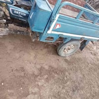 ستوته • أوراق • واسط