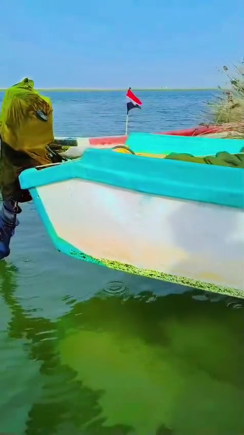 سلام عليكم جينكوه ١٣ونص تمكينه ١٨ تهاتسو كارتون صارلهه شهر مشتقله الحلال ما متعوب الجينكوه وشار جديد ومشايه مكاني السيبه سيحان مكلف بل نشر رقم صاحب الحلال***********
