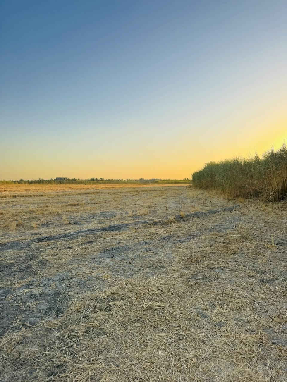 السلام عليكم 
ارض زراعيه طابو  سند25 
على طريق مفرك الكفل 
كافه الخدمات متوفره تبليط ماي وكهرباء 
المساحه 12دونم مع بيت
شارع خاص عرضه ١٢ متر

‭0783 885 1910‬
