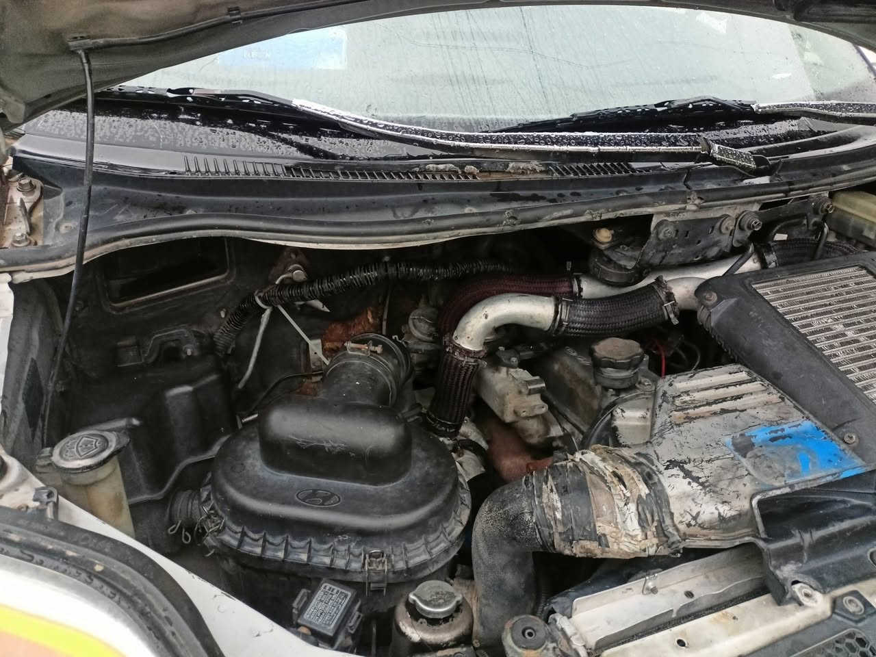 سلام عليكم ستاركس موديل 2005 سيارة جاهزة من كلشي رقم ديالى بسمي فول نضافة محرك مفتوح شرط   تبريد تدفئة شواصي معمرة ضرر بس جامرلغ خلفي رقم انكليزي سنوية لحد ال27 مكاني كركوك سعرها 85 وبي مجال قليل استفسار اتصل  ***********
