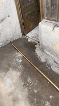 سلام عليكم مشتمل للايجار الشعب شارع الصحه يحتوي عل مطبخ وحمامين وهول وغرفه نوم البيت نظيف العنوان الشعب شارع الصحه  قرب جامع المبرقع السعر 300  للاستفسار الاتصالل
***********
